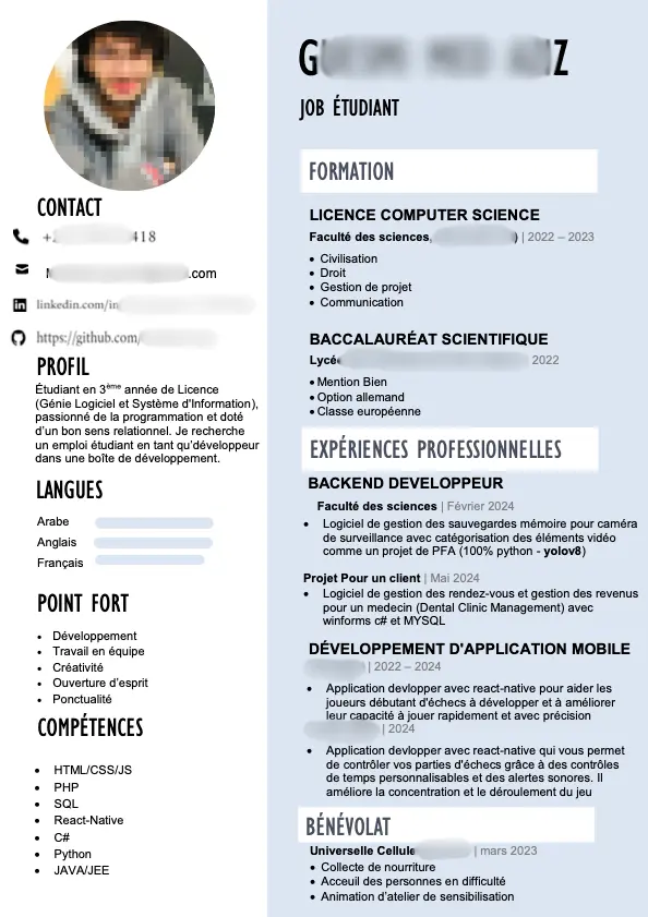 Student Internship Resume Example