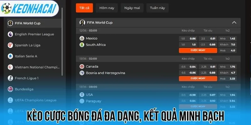 Kèo cược bóng đá đa dạng, kết quả minh bạch
