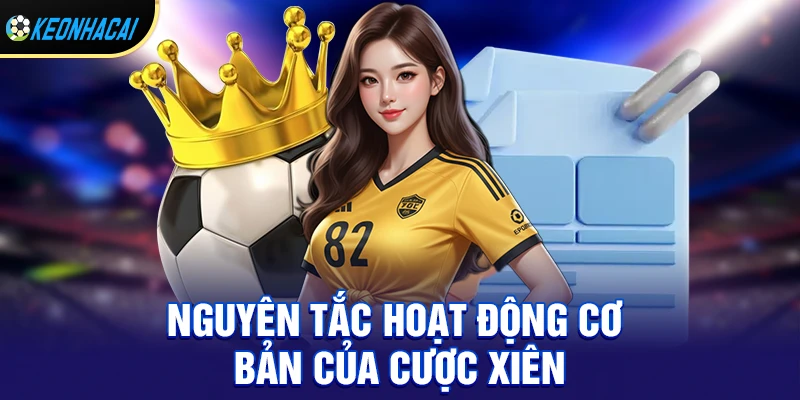 Cược xiên - Bí quyết nhân vốn nhanh chóng và hiệu quả nhất 2026 2 Nguyên tắc hoạt động cơ bản của cược xiên