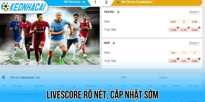 Livescore rõ nét, cập nhật sớm