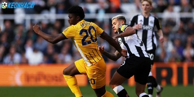 Phong độ Newcastle United, Brighton gần đây