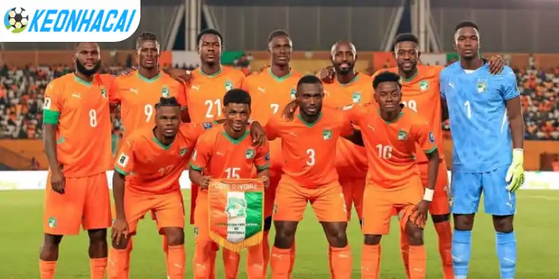 Đội hình ra sân dự kiến của Bờ Biển Ngà vs Ecuador